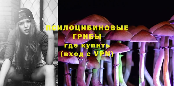 дживик Козловка