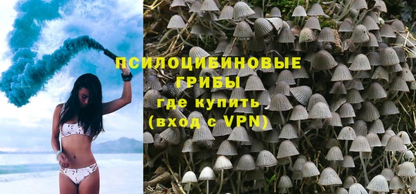 дживик Козловка