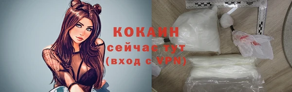 дживик Козловка