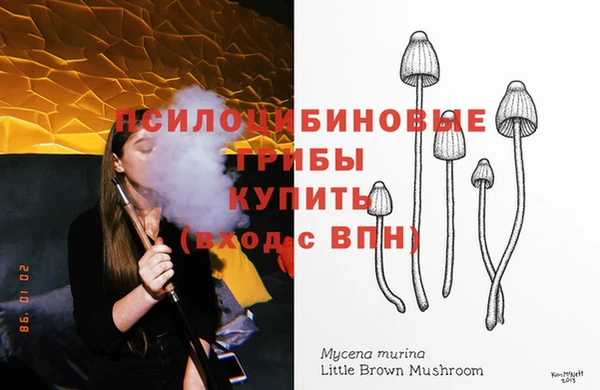 jwh Козельск