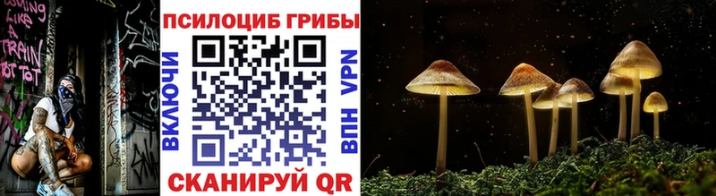Галлюциногенные грибы мухоморы  Купить где  Пестово 